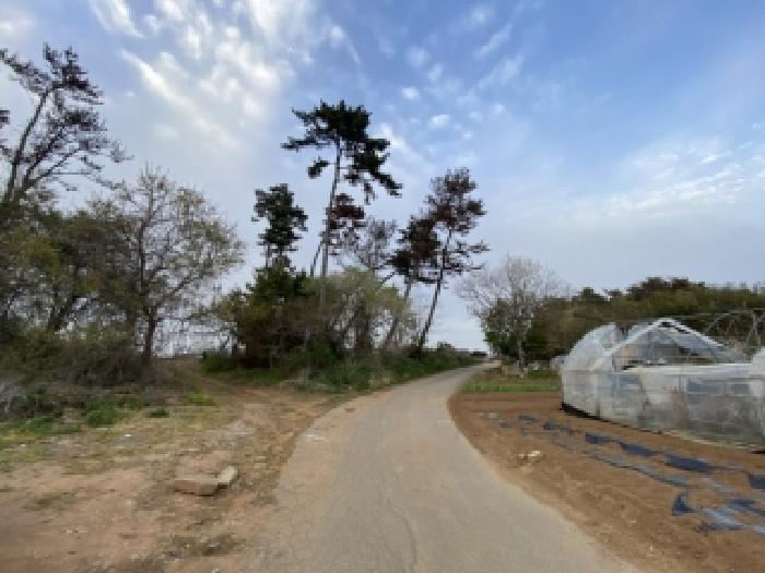2026타경50367 임야 · 충청남도 태안군 남면 달산리 산75-10