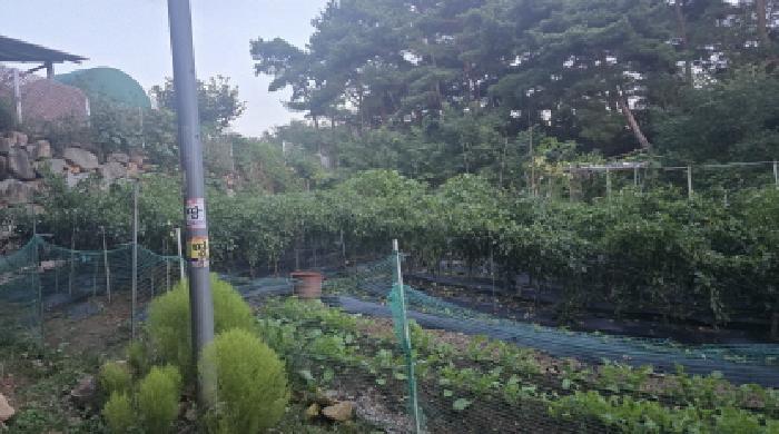 2025타경1007 임야 · 경상북도 칠곡군 동명면