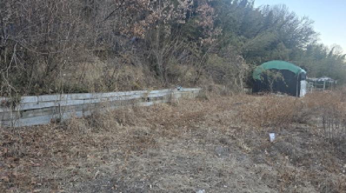 2025타경10092 임야 · 경상북도 칠곡군 기산면 노석리 289