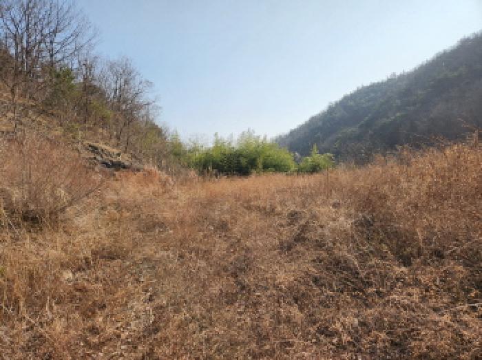 2025타경10223 대지 · 경상북도 영천시 화남면 월곡리 832