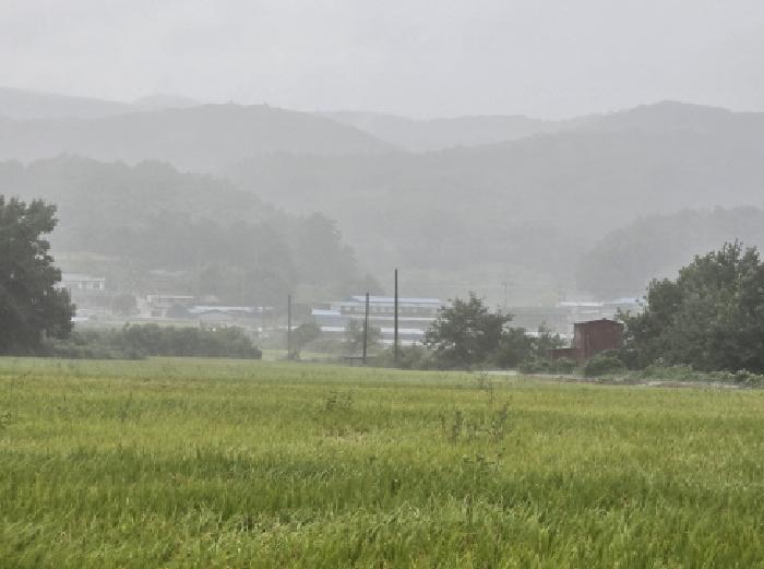2025타경1094 전답 · 경상북도 영천시 북안면