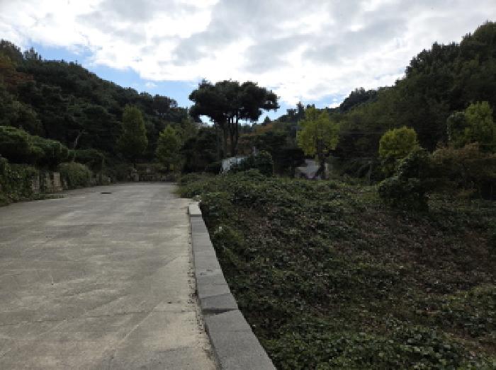 2025타경1116 임야 · 경상북도 경산시 남산면 상대리 388