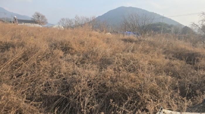 2025타경1255 · 경상북도 칠곡군 동명면 남원리 1092