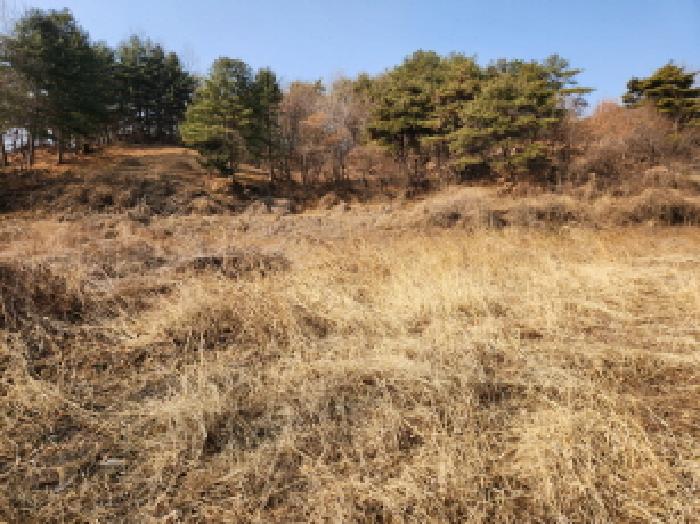 2025타경1346 · 경상북도 영천시 서산동 517-3