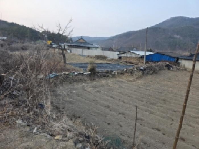 2025타경1358 대지 · 경상북도 청도군 금천면