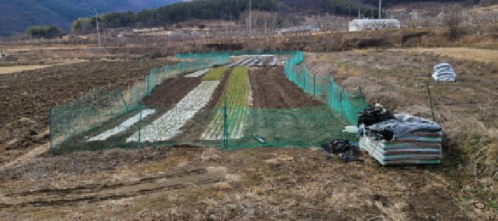 2025타경7319 전답 · 경상북도 청도군 풍각면