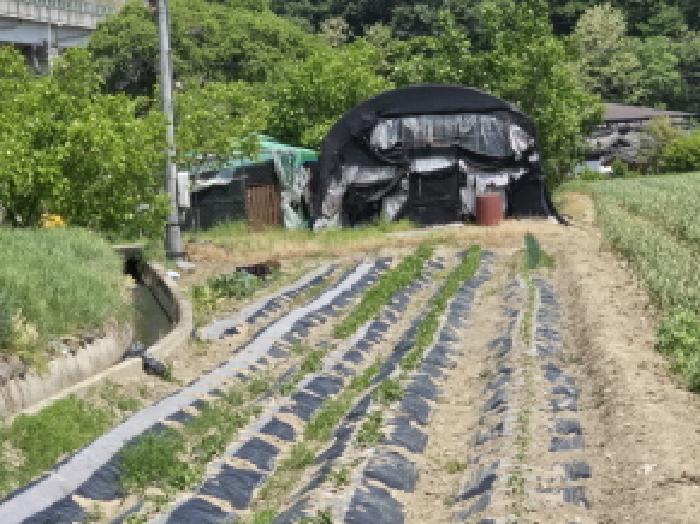 2025타경7848 전답 · 경상북도 영천시 화산면