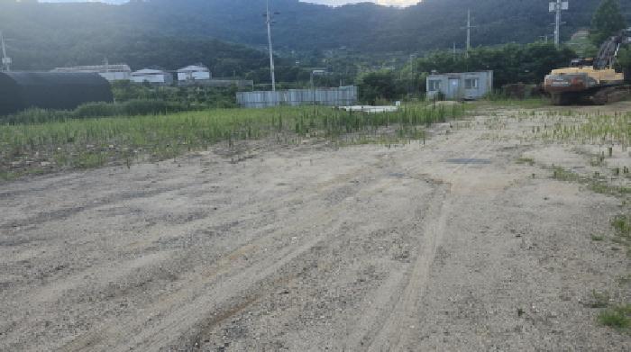 2025타경8129 임야 · 경상북도 칠곡군 기산면 영리 803-1