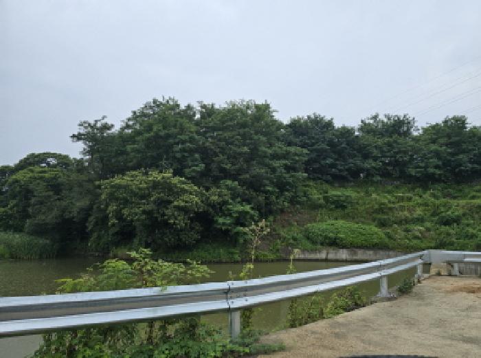 2025타경8275 임야 · 경상북도 칠곡군 석적읍 남율리 산44-58