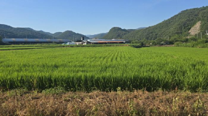 2025타경8281 대지 · 경상북도 칠곡군 지천면