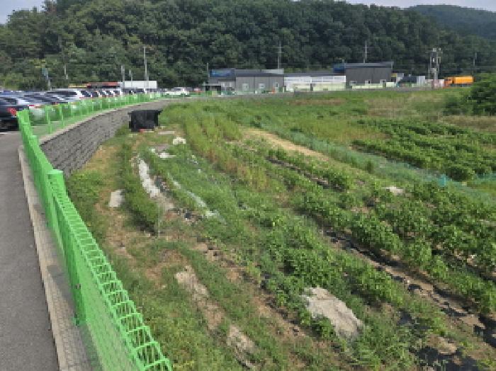 2025타경8622 대지 · 경상북도 영천시 금호읍