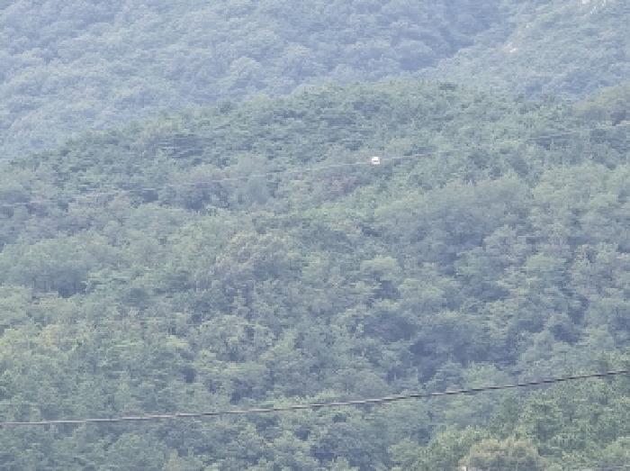 2025타경8639 임야 · 경상북도 영천시 화북면 옥계리 산73-2