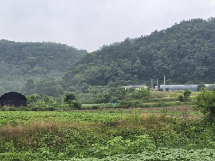 2025타경890 · 경상북도 영천시 고경면 전사리 231-1