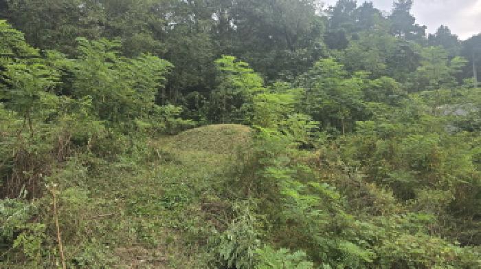 2025타경8997 임야 · 경상북도 칠곡군 가산면 석우리 산28