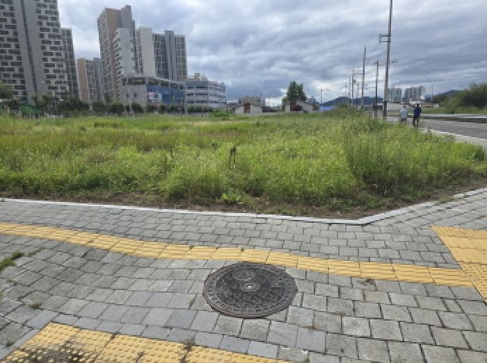 2025타경9082 대지 · 경상북도 영천시 완산동 1397