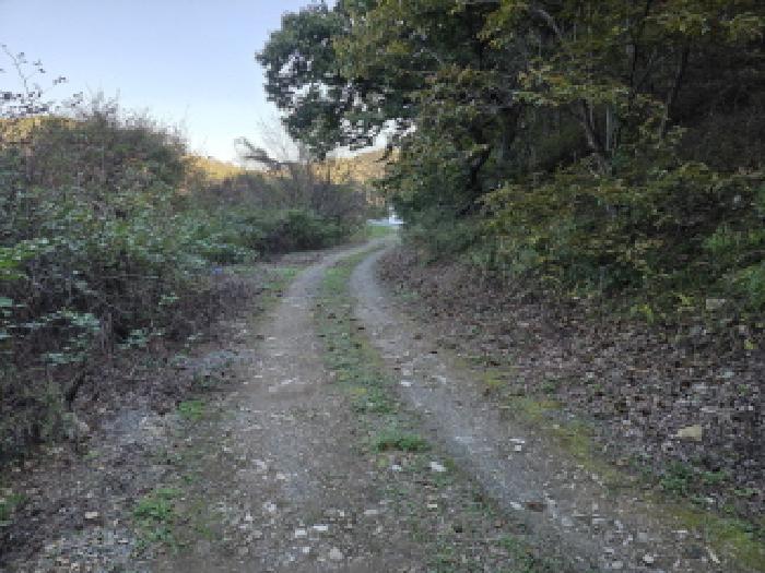 2025타경9163 임야 · 경상북도 청도군 각북면