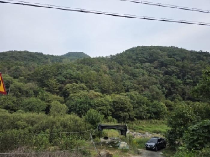 2025타경9322 임야 · 경상북도 청도군 운문면 봉하리 산32