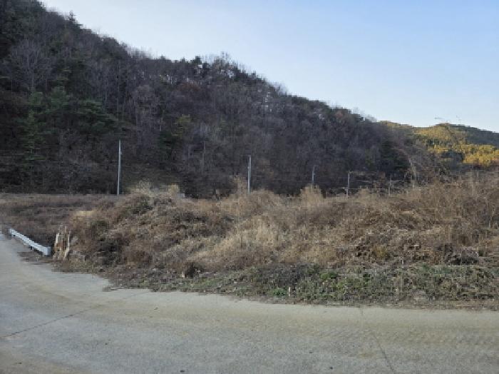 2025타경9479 대지 · 경상북도 청도군 풍각면 성곡리 1128-1