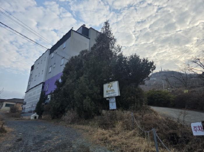 2025타경9557 대지 · 경상북도 청도군 화양읍 삼신리 843