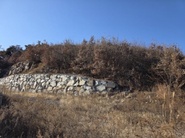 2025타경9572 임야 · 경상북도 청도군 이서면