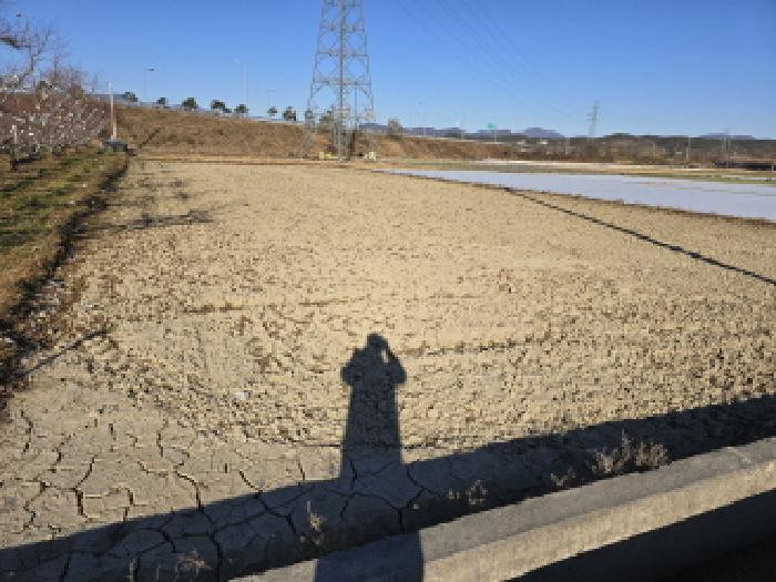 2025타경9686 대지 · 경상북도 영천시 임고면 양항리 149
