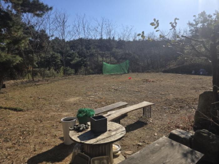 2025타경9877 임야 · 경상북도 경산시 와촌면 대동리 548-15