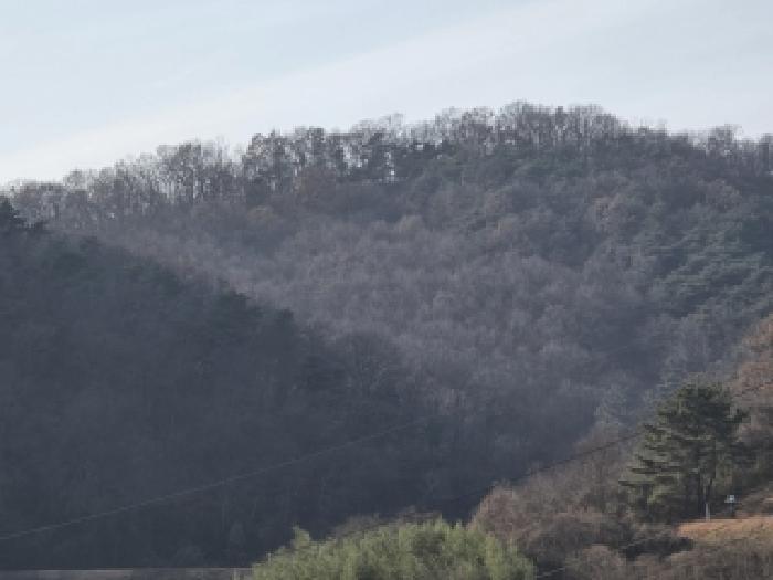 2025타경9887 임야 · 경상북도 영천시 화남면 월곡리 산21-7