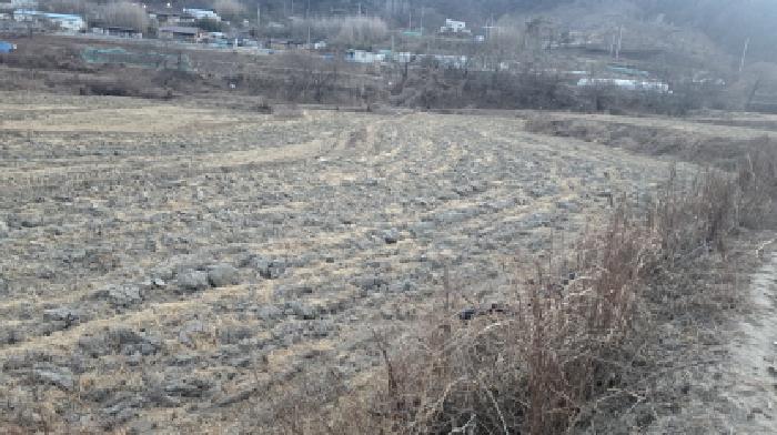 2025타경9954 전답 · 경상북도 칠곡군 기산면