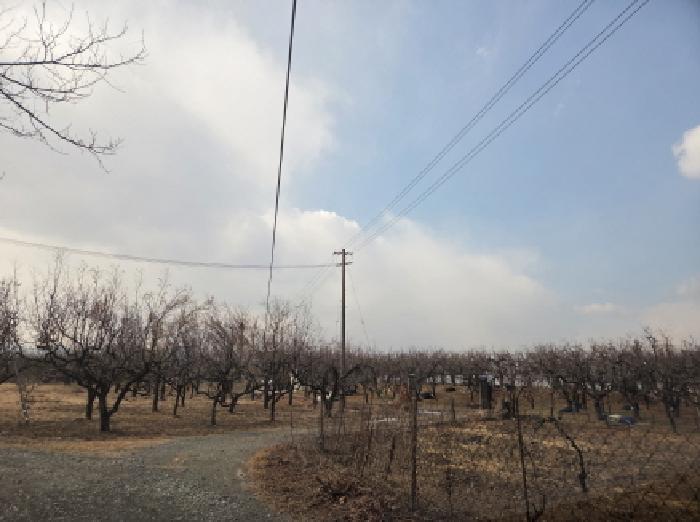 2025타경9977 · 경상북도 경산시 압량읍 금구리 6-1 에이동,시동
