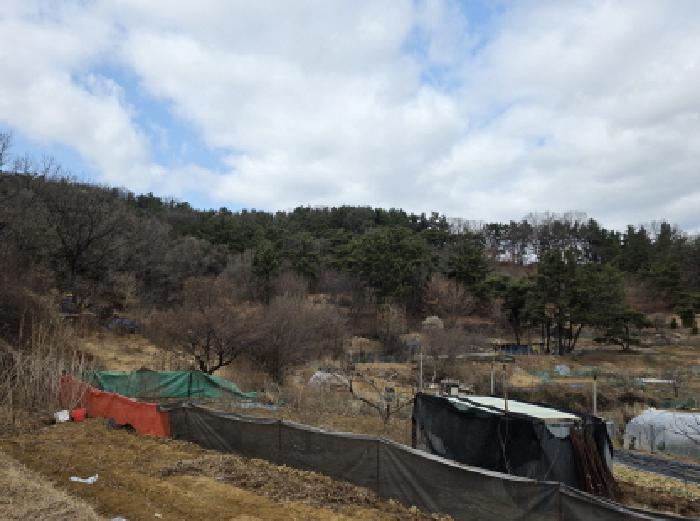 2026타경100118 임야 · 대구광역시 동구 용계동 산9-4