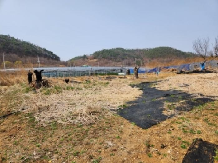 2026타경100596 · 경상북도 영천시 화남면 선천리 1031