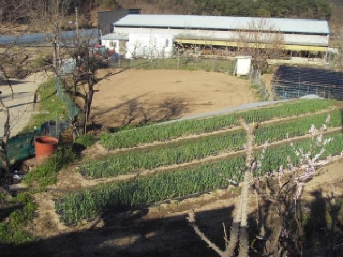 2026타경100666 · 경상북도 칠곡군 동명면 송산리 663