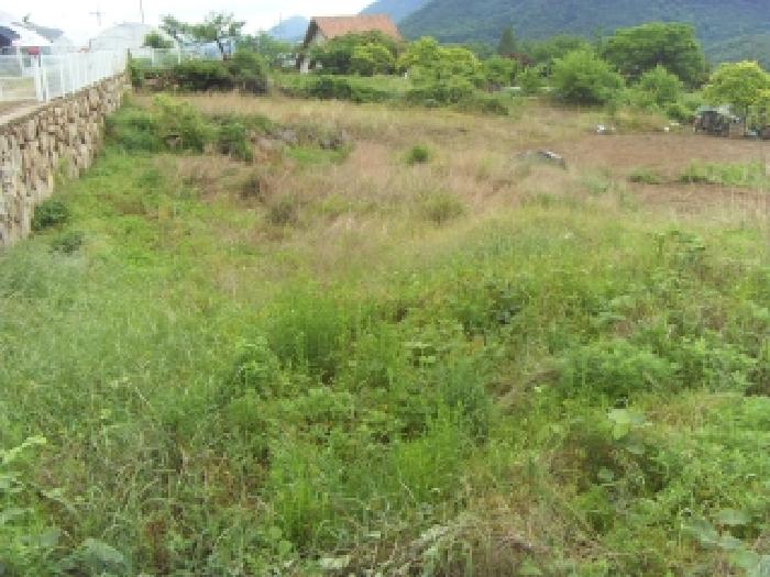 2026타경101052 · 경상북도 칠곡군 동명면 남원리 943
