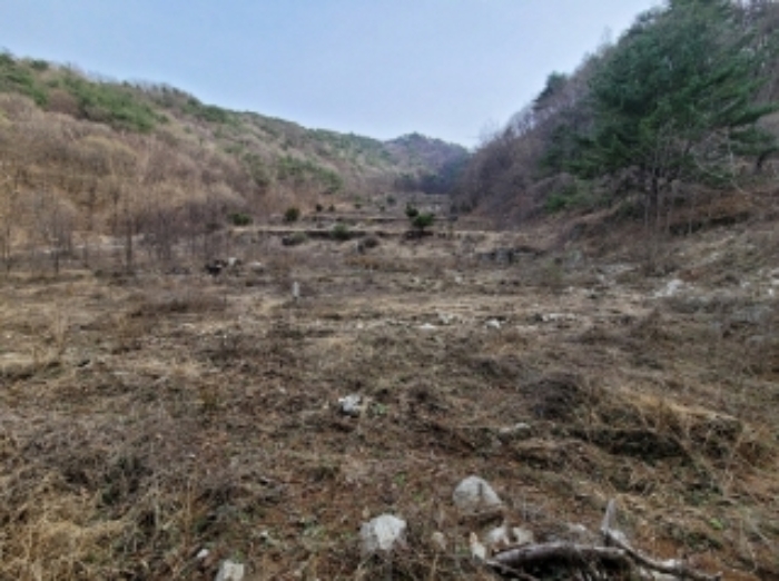 2024타경491 대지 · 경상북도 영주시 봉현면