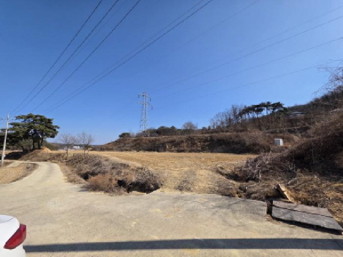 2025타경100266 대지 · 경상북도 안동시 풍산읍