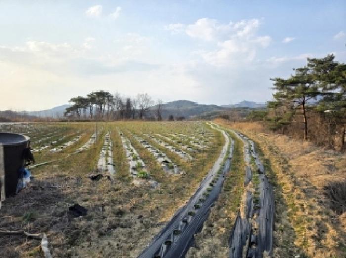 2025타경100300 · 경상북도 안동시 풍산읍 괴정리 423