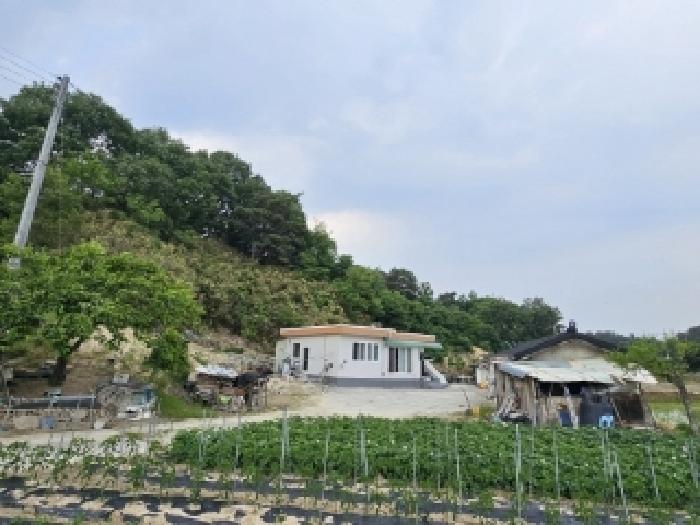 2025타경100368 대지 · 경상북도 영주시 장수면