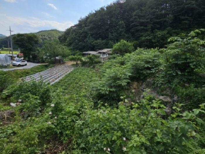 2025타경100391 전답 · 경상북도 봉화군 법전면
