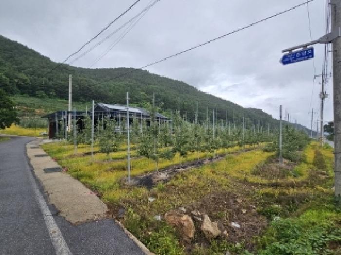 2025타경100413 · 경상북도 봉화군 춘양면