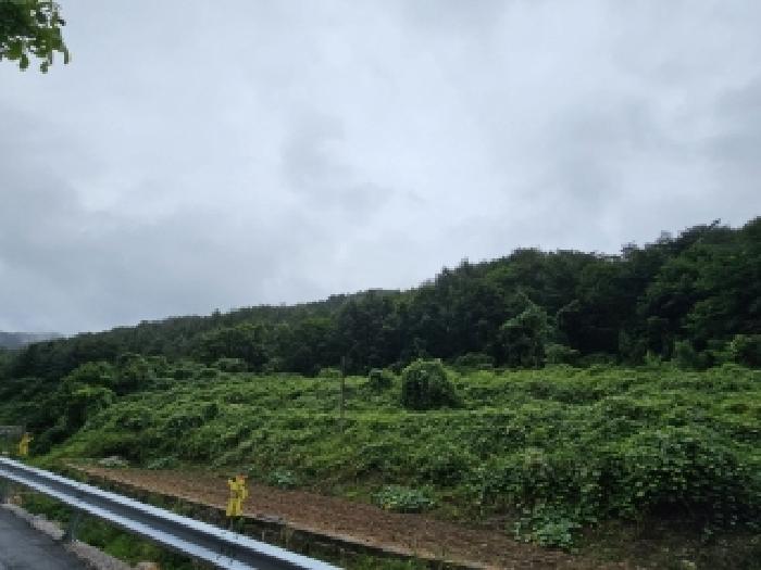 2025타경100416 임야 · 경상북도 봉화군 봉성면