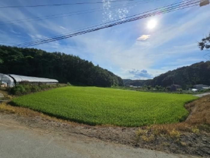 2025타경100487 전답 · 경상북도 영주시 조암동