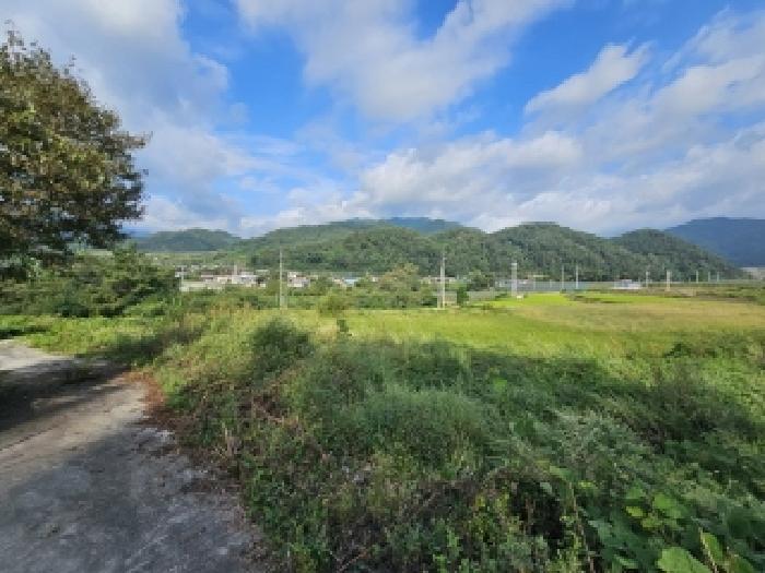2025타경100513 · 경상북도 영주시 풍기읍 금계리 248