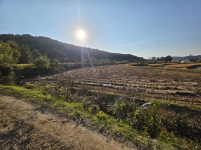 2025타경100549 전답 · 경상북도 안동시 풍천면 도양리 210