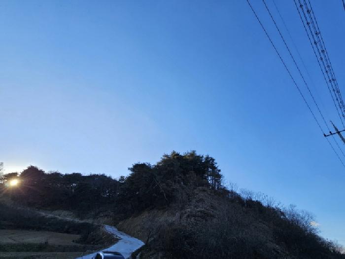 2025타경100556 임야 · 경상북도 영주시 이산면 신천리 산65