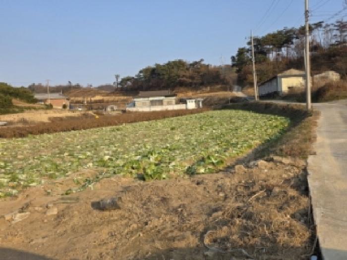 2025타경100562 전답 · 경상북도 안동시 풍산읍