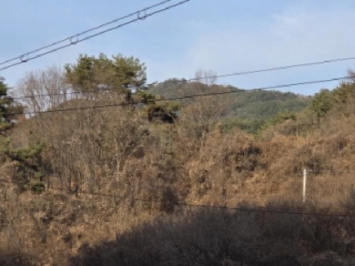 2025타경100565 · 경상북도 안동시 녹전면 매정리 30