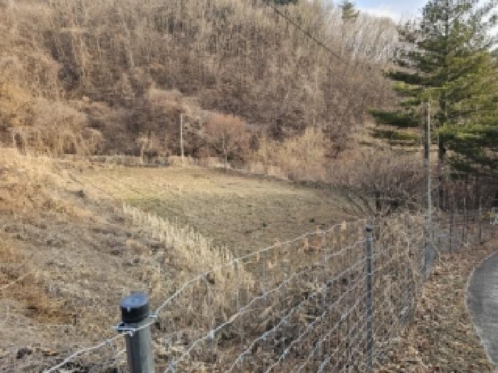 2025타경100607 · 경상북도 봉화군 물야면 오전리 375-2
