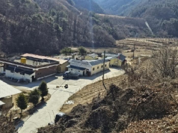 2025타경10167 대지 · 경상북도 영주시 평은면