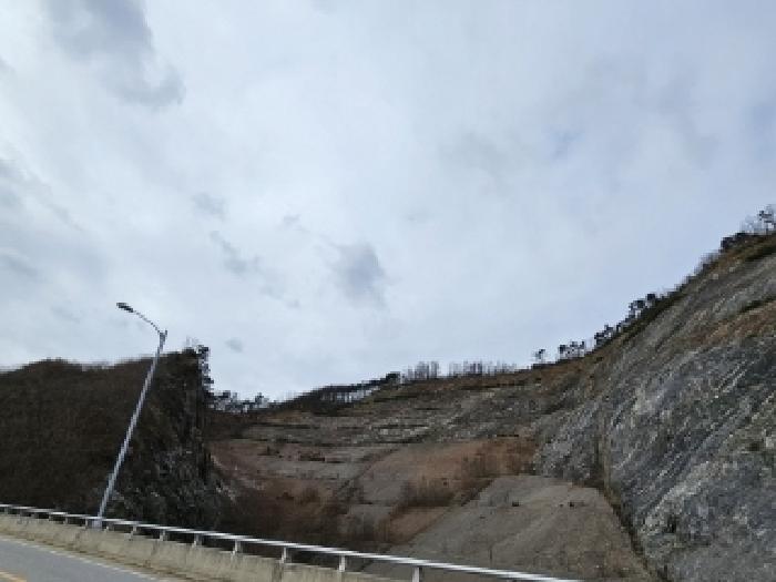 2025타경10174 임야 · 경상북도 영주시 평은면