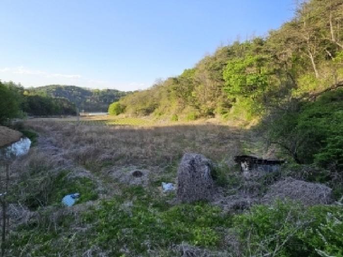 2025타경10402 · 경상북도 봉화군 명호면 고감리 1257